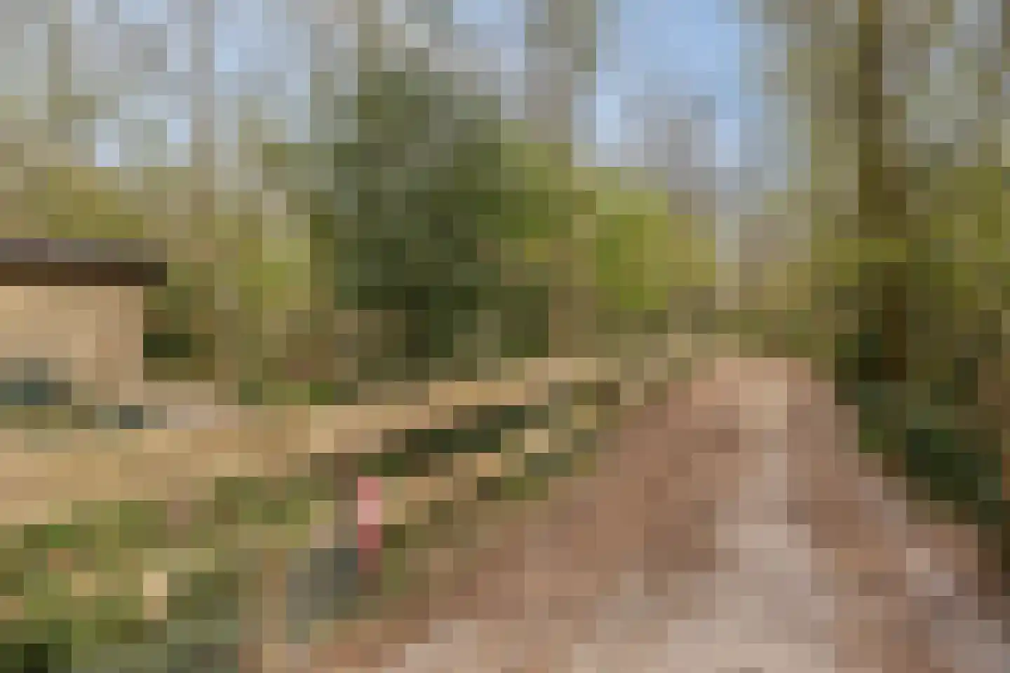 De Gavere 12 Zorgvlied thumbnail 32