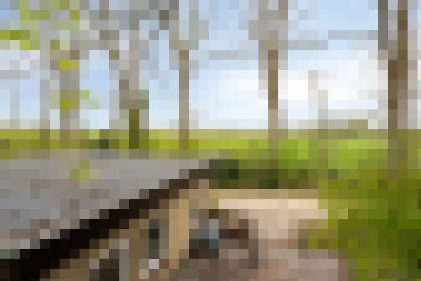 De Gavere 12 Zorgvlied thumbnail 33