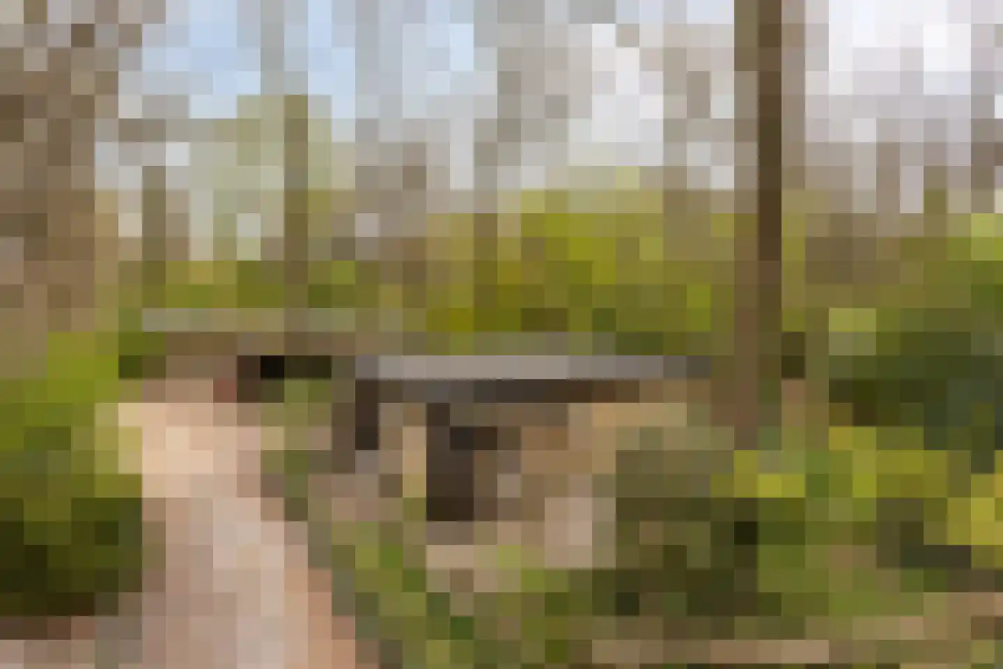 De Gavere 12 Zorgvlied thumbnail 35