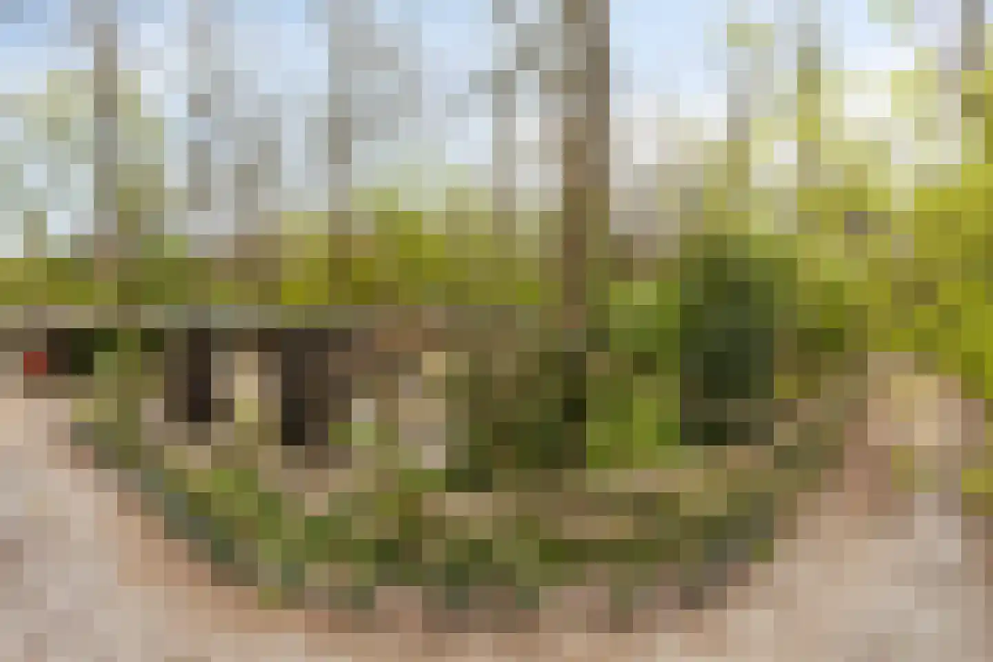 De Gavere 12 Zorgvlied thumbnail 36
