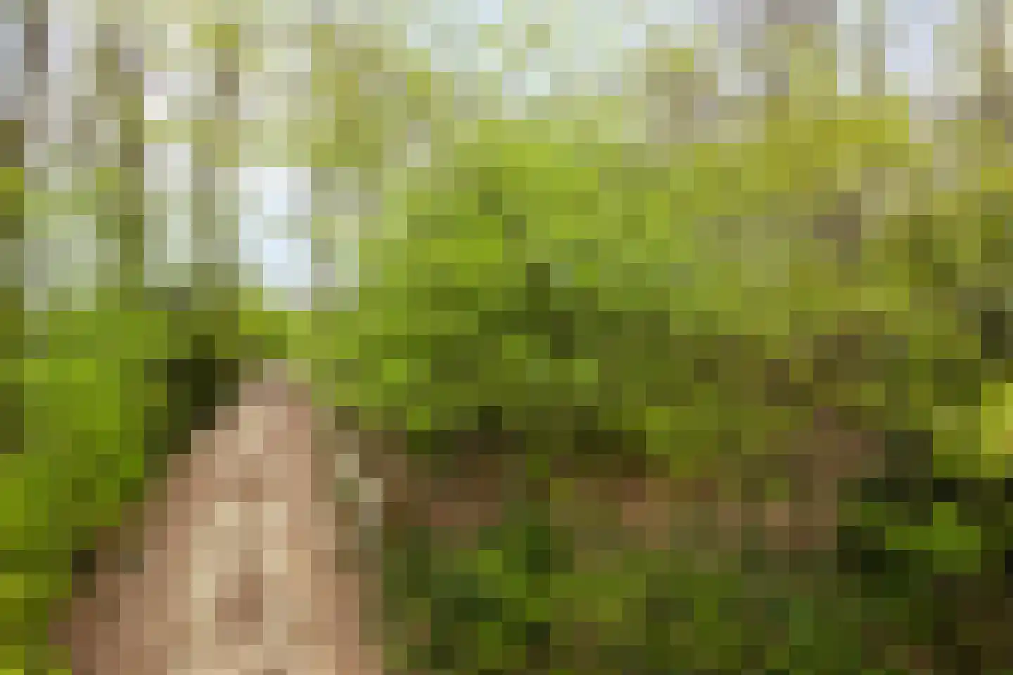 De Gavere 12 Zorgvlied thumbnail 37