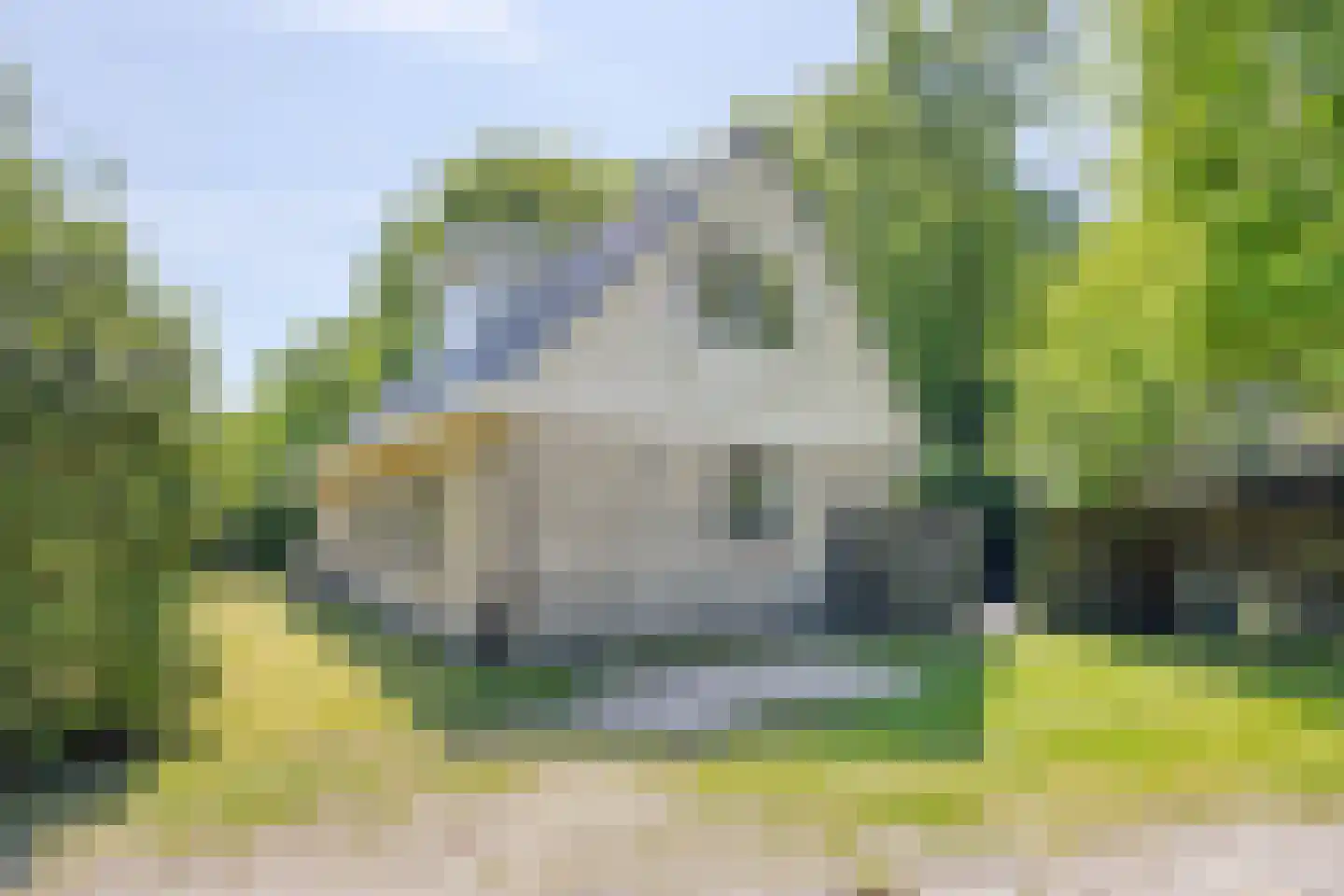 De Gavere 22 Zorgvlied thumbnail 18