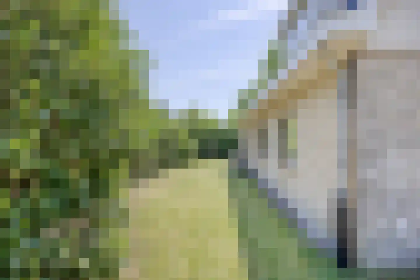 De Gavere 22 Zorgvlied thumbnail 19