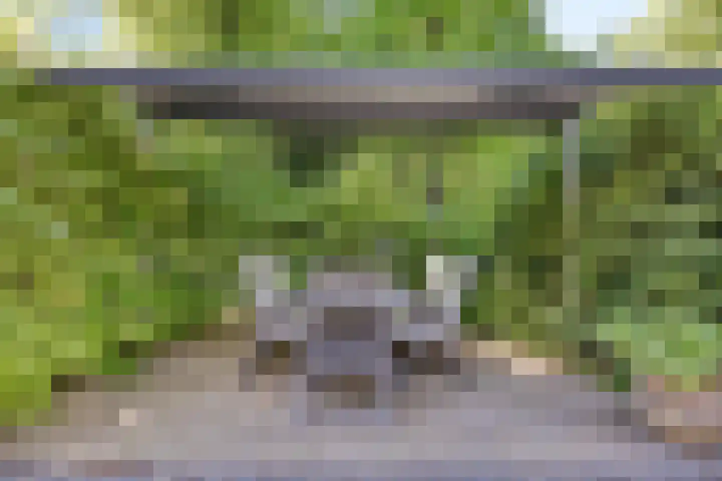 De Gavere 22 Zorgvlied thumbnail 20