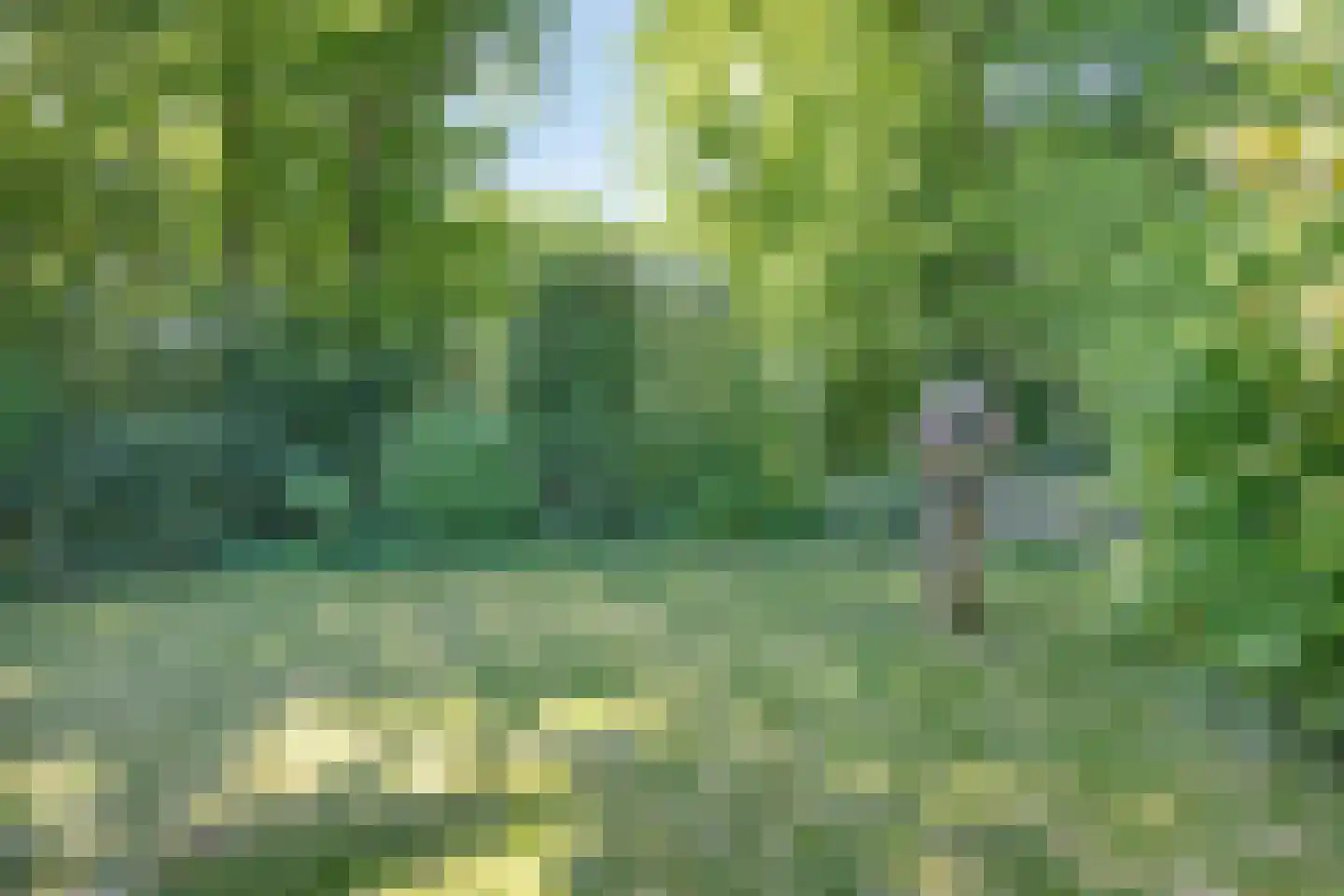 De Gavere 22 Zorgvlied thumbnail 21