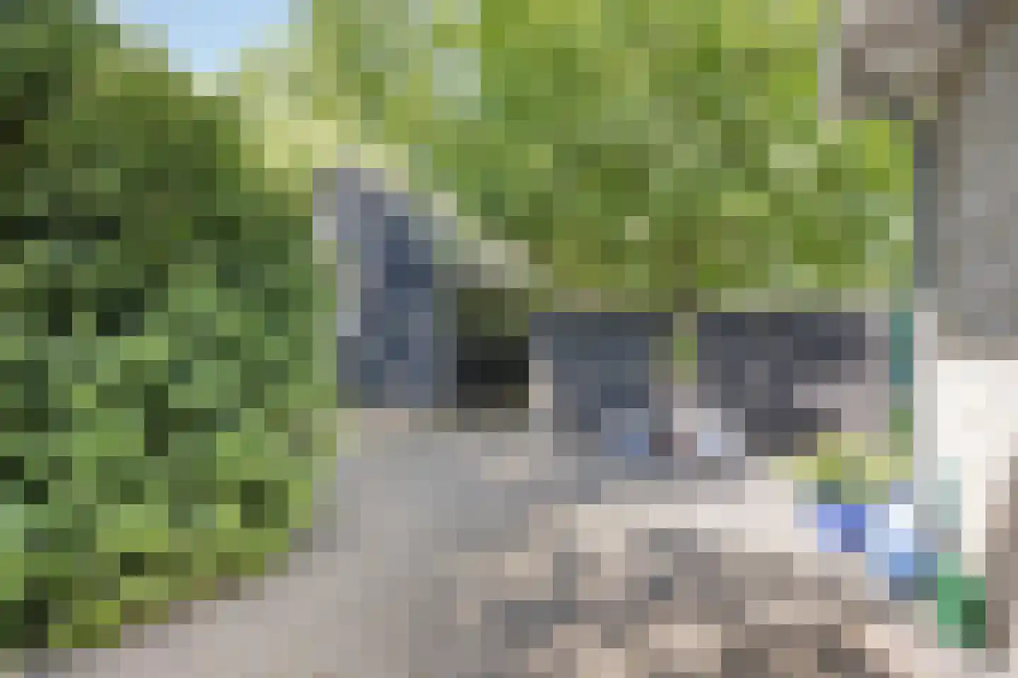 De Gavere 22 Zorgvlied thumbnail 23