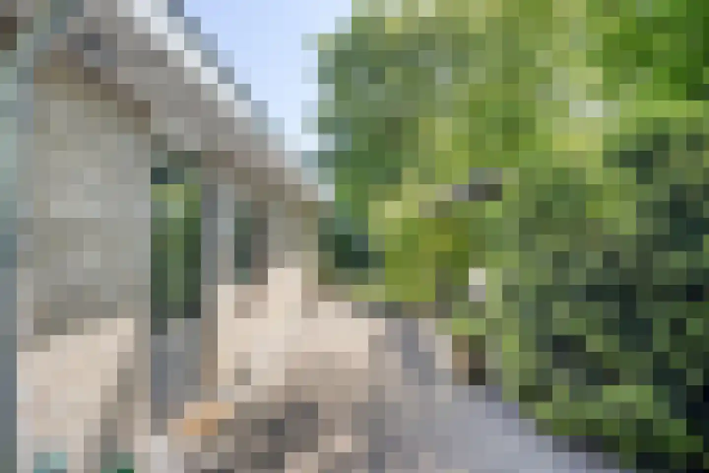 De Gavere 22 Zorgvlied thumbnail 25