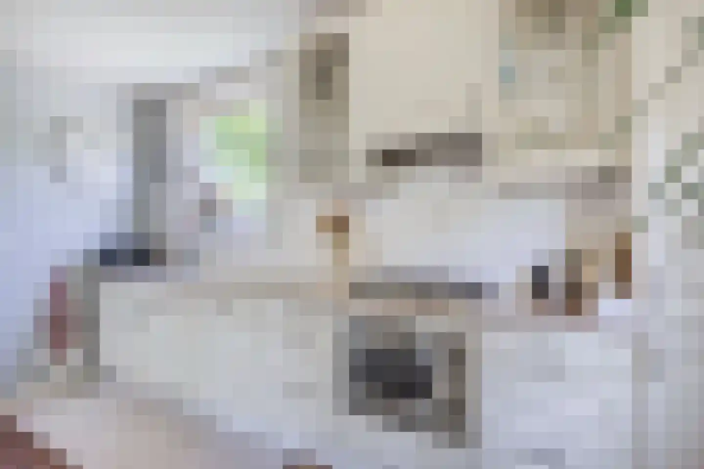De Gavere 22 Zorgvlied thumbnail 9