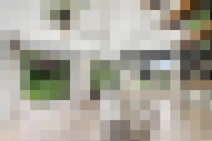 De Geasten 10 Oudega thumbnail 12
