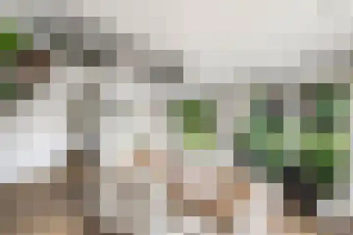 De Geasten 10 Oudega thumbnail 13