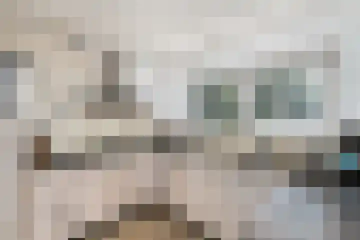 De Geasten 10 Oudega thumbnail 15