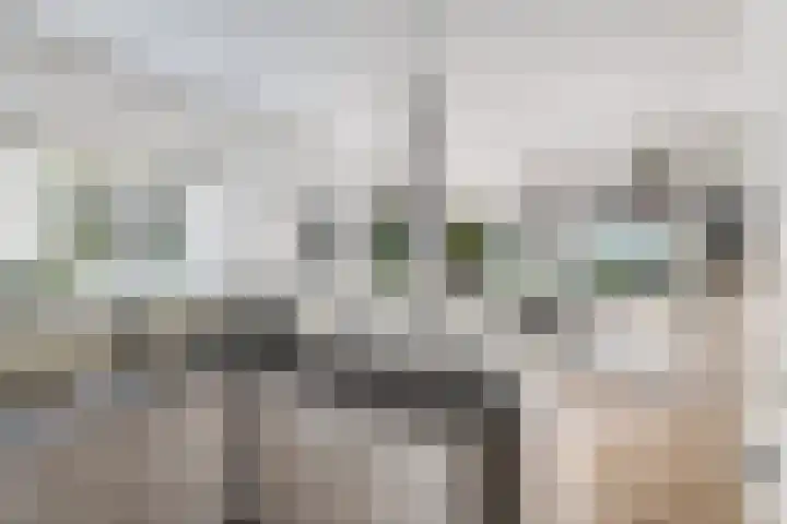 De Geasten 10 Oudega thumbnail 16