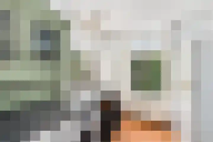 De Geasten 10 Oudega thumbnail 19