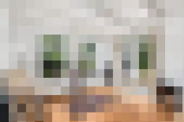 De Geasten 10 Oudega thumbnail 20