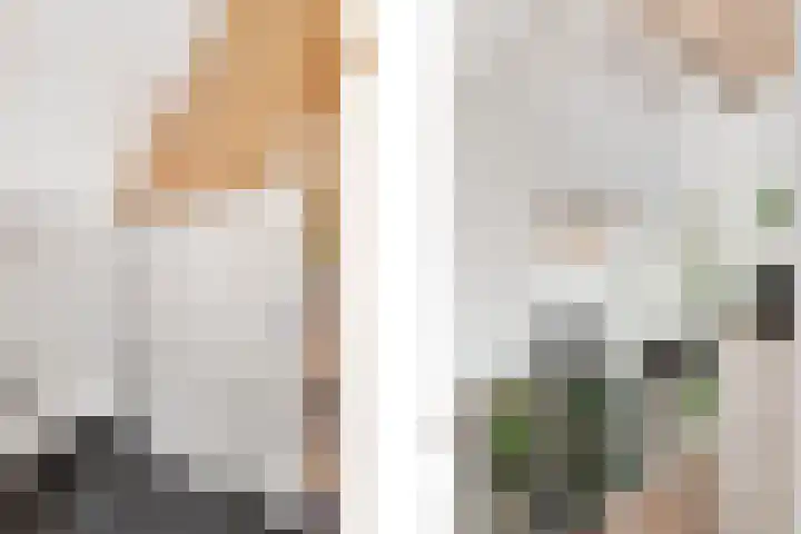 De Geasten 10 Oudega thumbnail 28