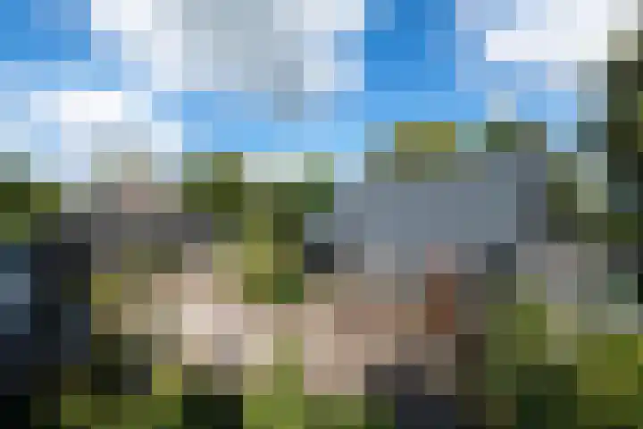 De Geasten 10 Oudega thumbnail 34
