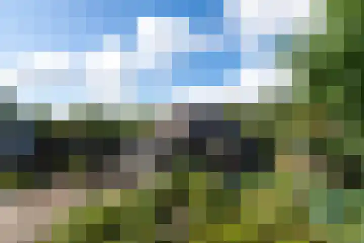 De Geasten 10 Oudega thumbnail 35