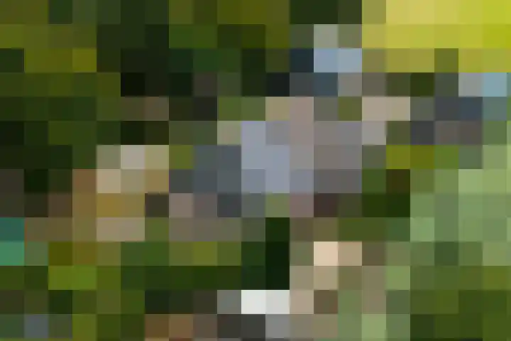 De Geasten 10 Oudega thumbnail 4