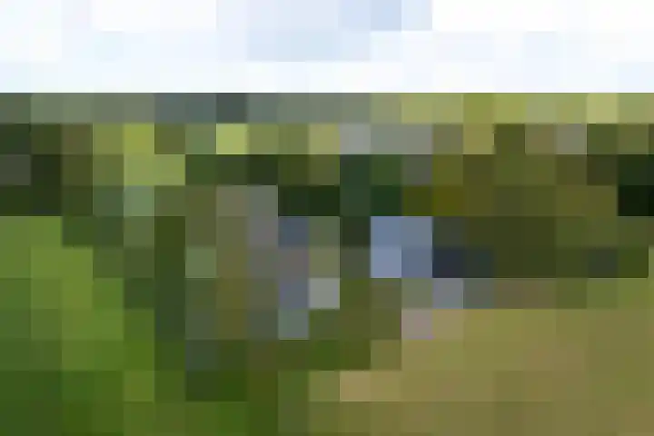 De Geasten 10 Oudega thumbnail 49