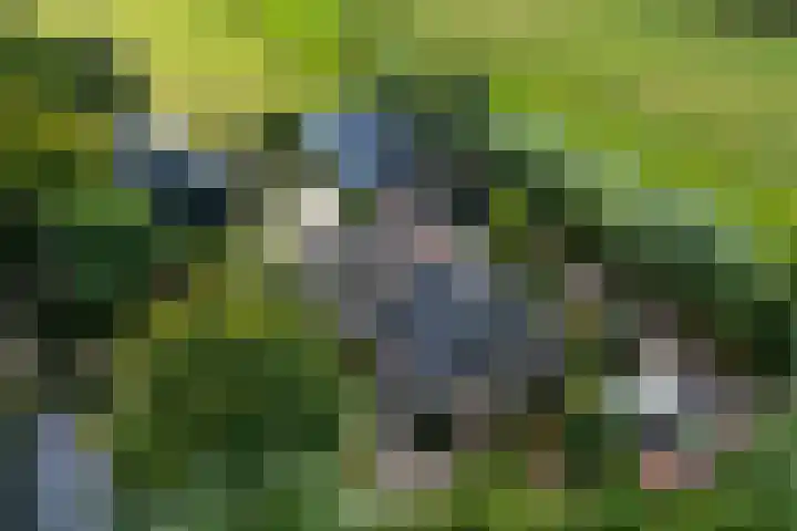 De Geasten 10 Oudega thumbnail 5