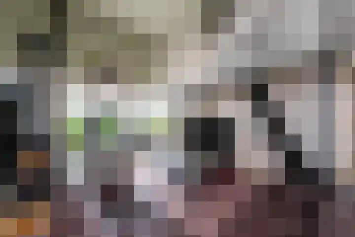 De Geasten 10 Oudega thumbnail 57