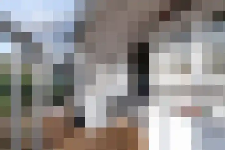 De Geasten 10 Oudega thumbnail 58