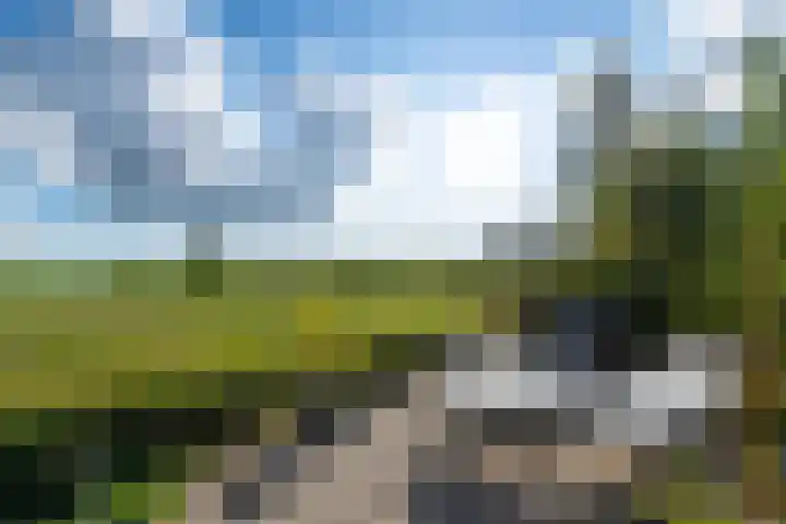De Geasten 10 Oudega thumbnail 63