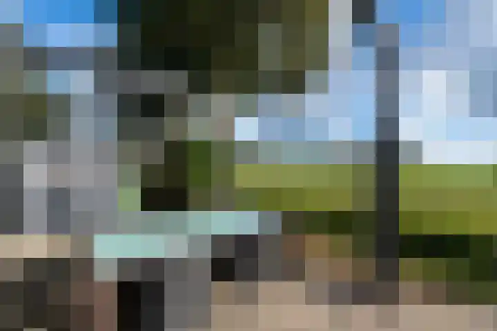 De Geasten 10 Oudega thumbnail 64