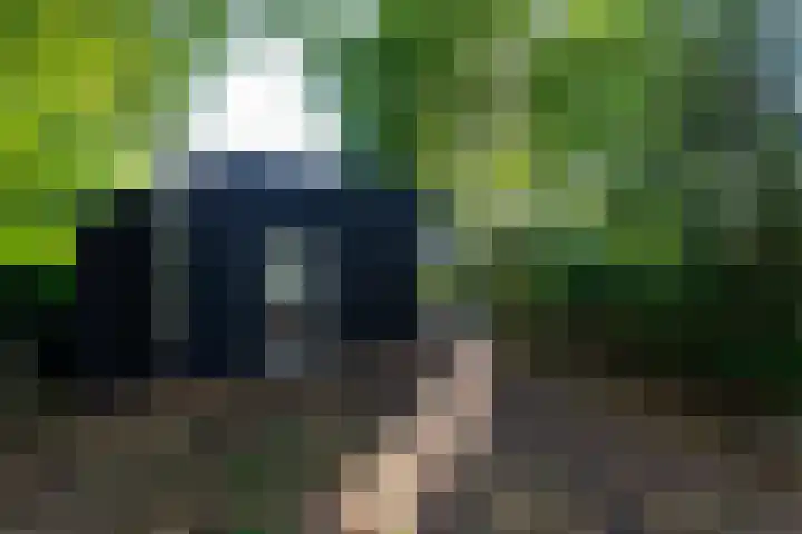 De Geasten 10 Oudega thumbnail 65