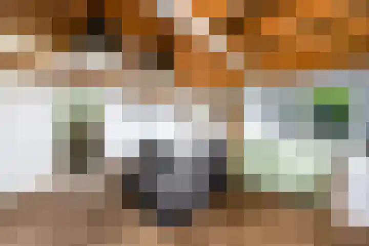 De Geasten 10 Oudega thumbnail 66