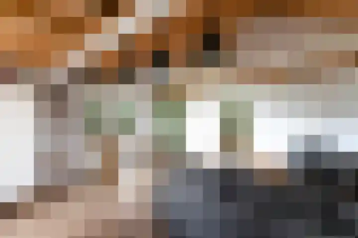 De Geasten 10 Oudega thumbnail 67