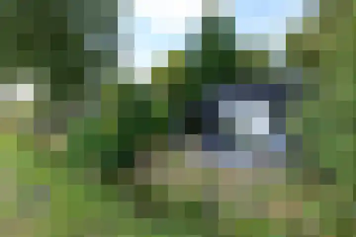 De Geasten 10 Oudega thumbnail 71