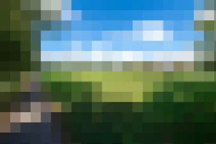De Geasten 10 Oudega thumbnail 73