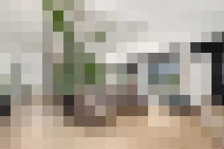 De Geasten 10 Oudega thumbnail 8