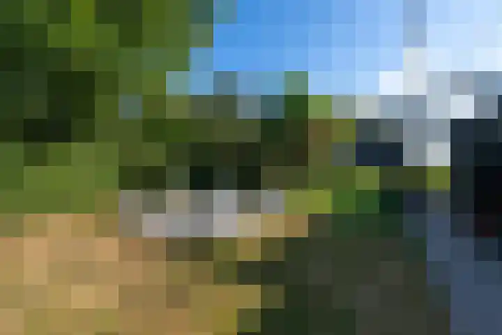 De Geasten 10 Oudega thumbnail 82