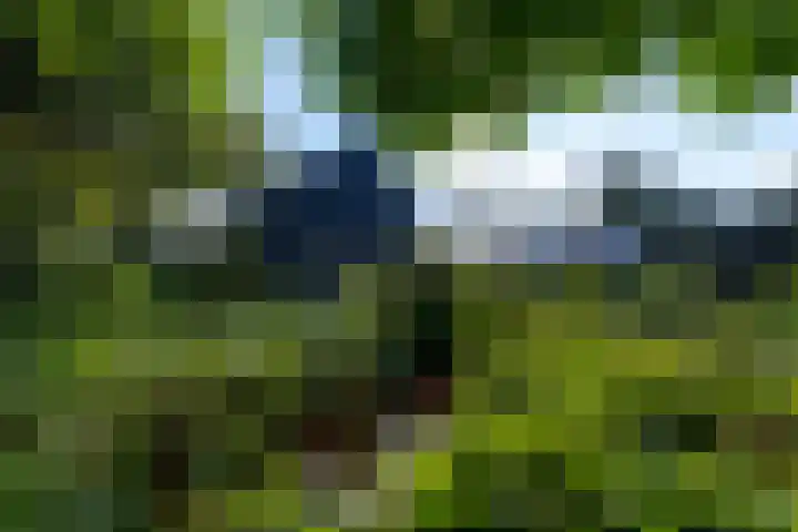 De Geasten 10 Oudega thumbnail 85