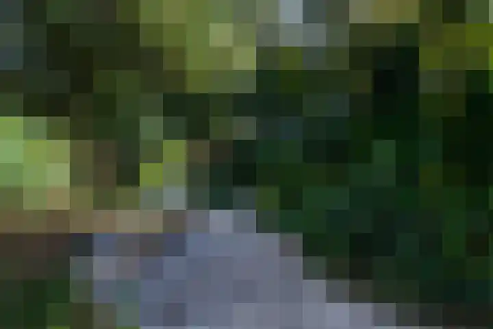 De Geasten 10 Oudega thumbnail 86
