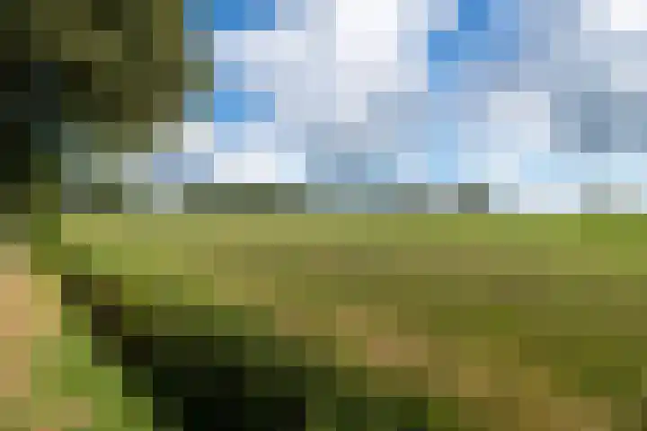 De Geasten 10 Oudega thumbnail 88