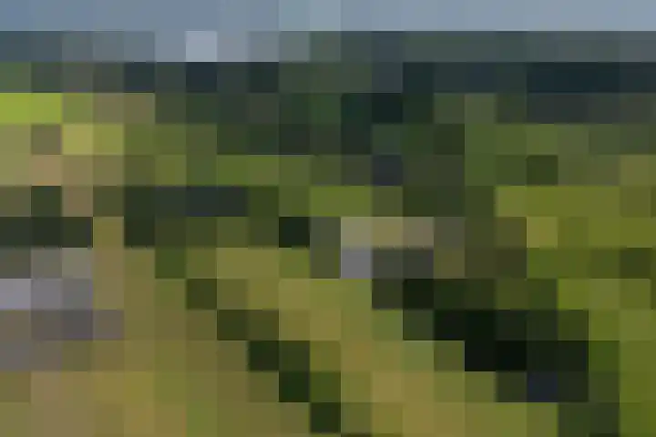 De Geasten 10 Oudega thumbnail 89