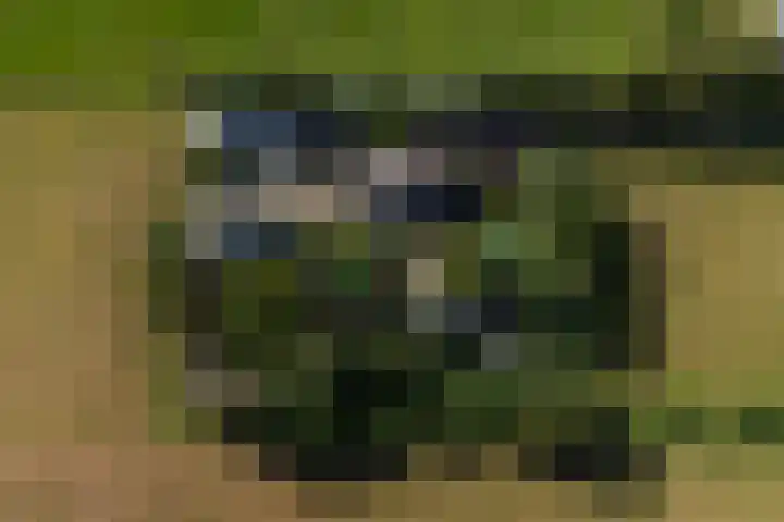 De Geasten 10 Oudega thumbnail 90