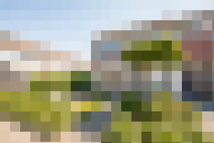 De Geep 20 Makkum thumbnail 5