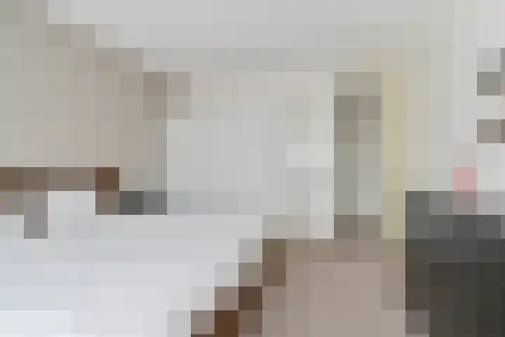 De Geer 1 in Ophemert