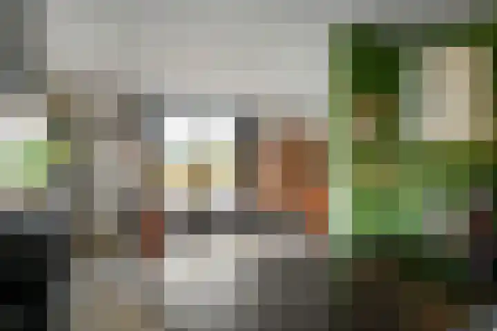 De Geer 1 Ophemert thumbnail 12