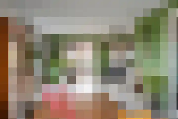 De Geer 1 Ophemert thumbnail 16