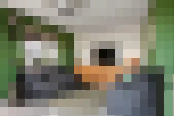De Geer 1 Ophemert thumbnail 17