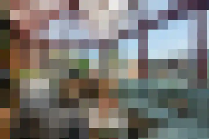 De Geer 1 Ophemert thumbnail 23