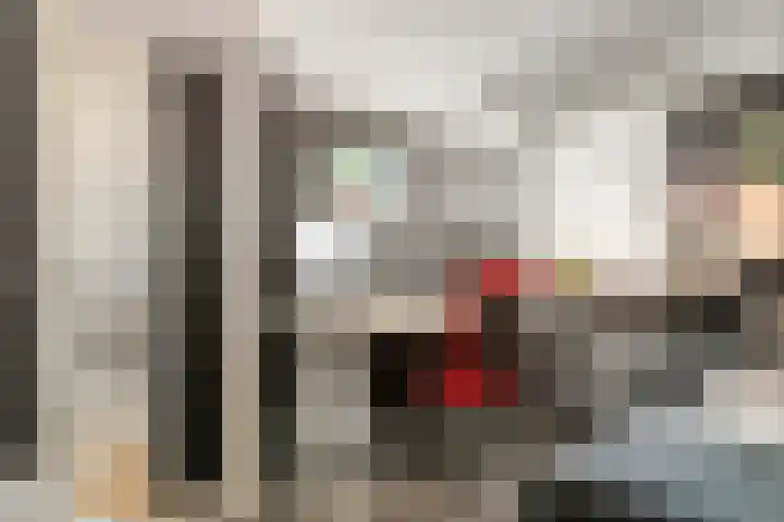 De Geer 1 Ophemert thumbnail 27