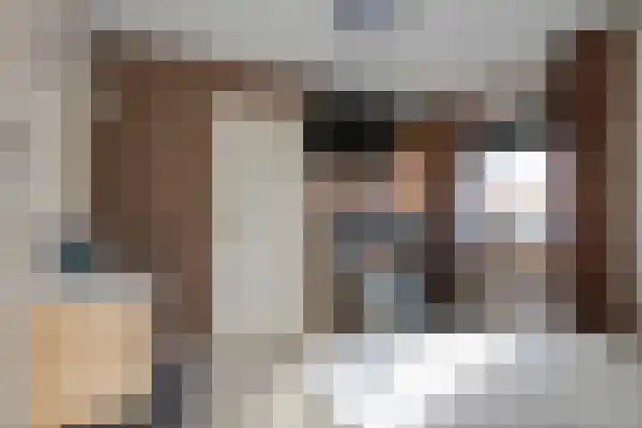 De Geer 1 Ophemert thumbnail 34
