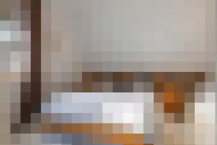 De Geer 1 Ophemert thumbnail 36