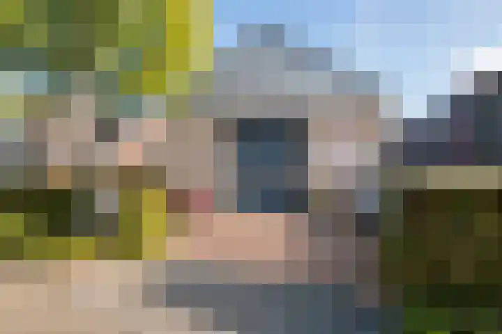 De Geer 1 Ophemert thumbnail 45